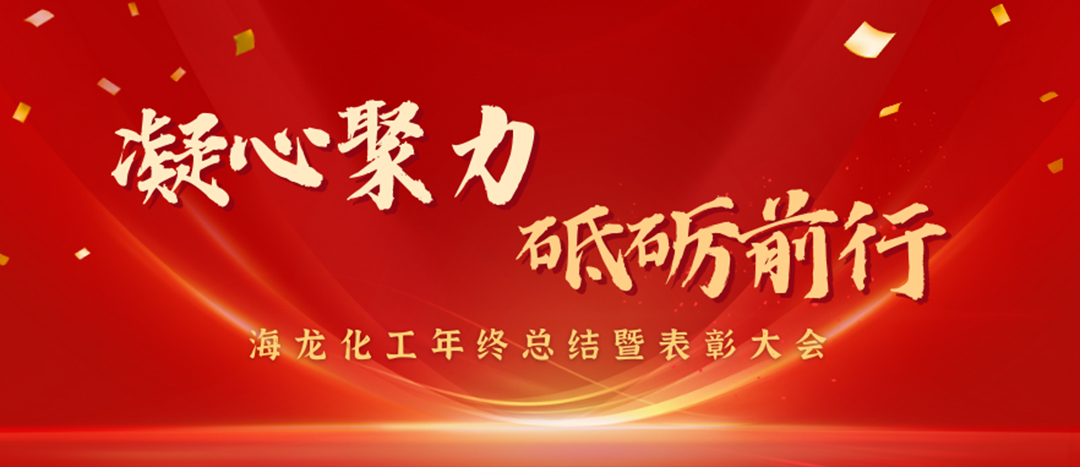 表彰 | 凝心聚力，砥礪前行，海龍化工年終總結(jié)暨表彰大會(huì)圓滿舉行